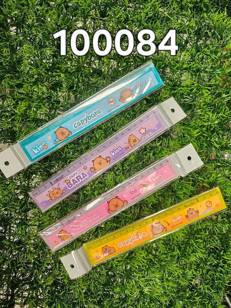 REGLA 20CM 2723|6939266100084