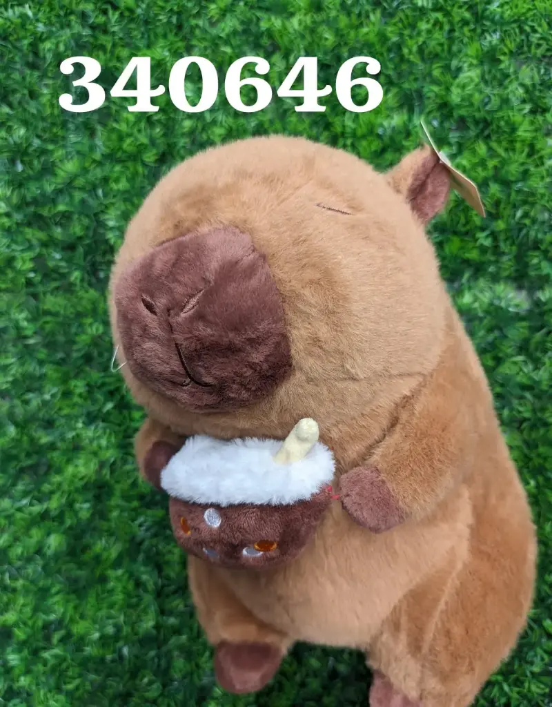 PELUCHE WH203 30