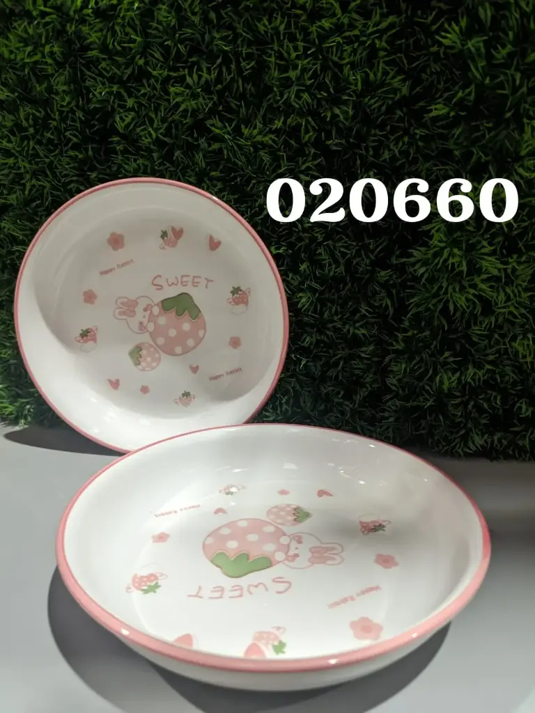 PLATO 8 20660|2507303020660 / 2507303020660