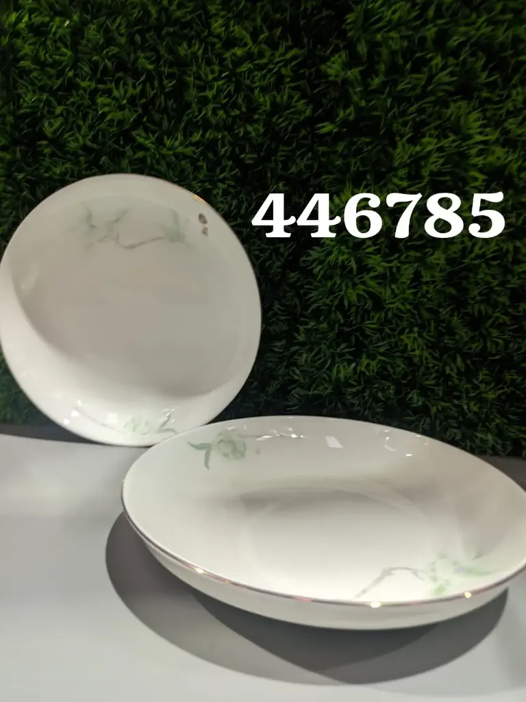 PLATO 8 6785