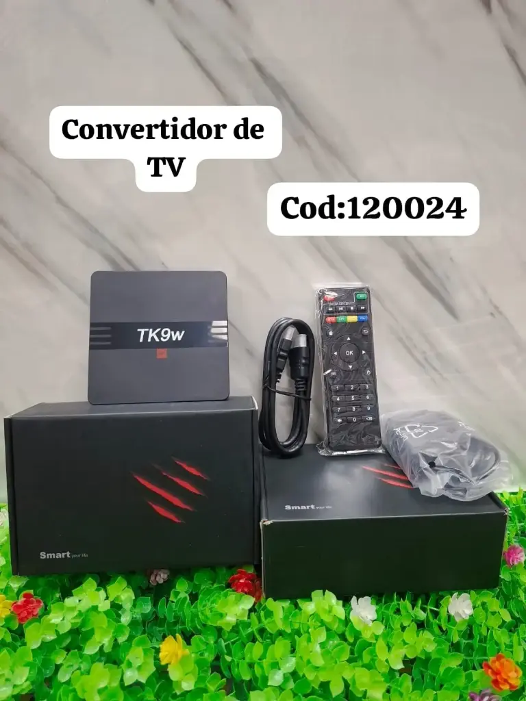 CONVERTIDOR DE TV 1018184120024