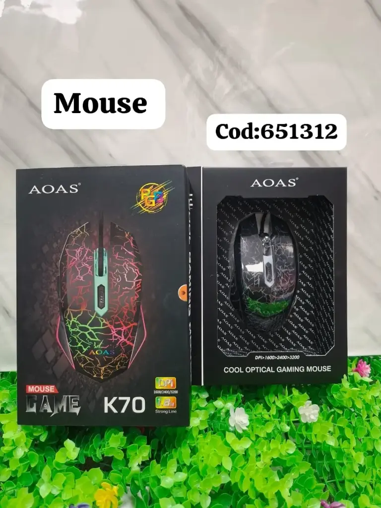 MOUSE 1312