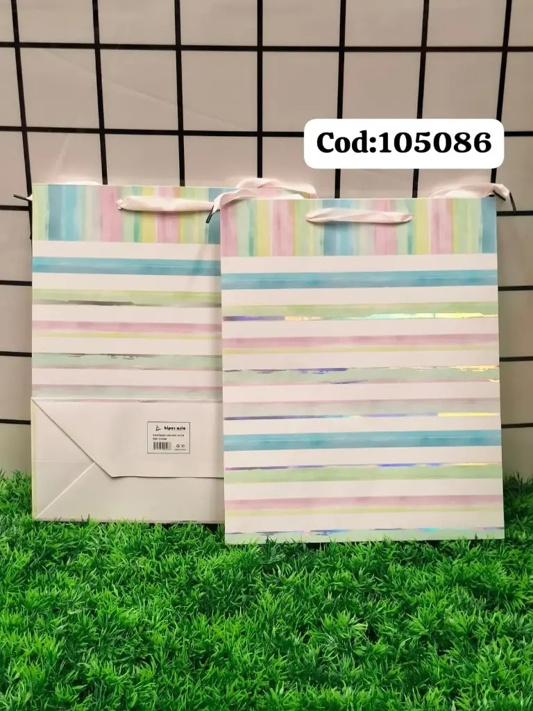 BOLSA DE REGALO 510508|7877775105086