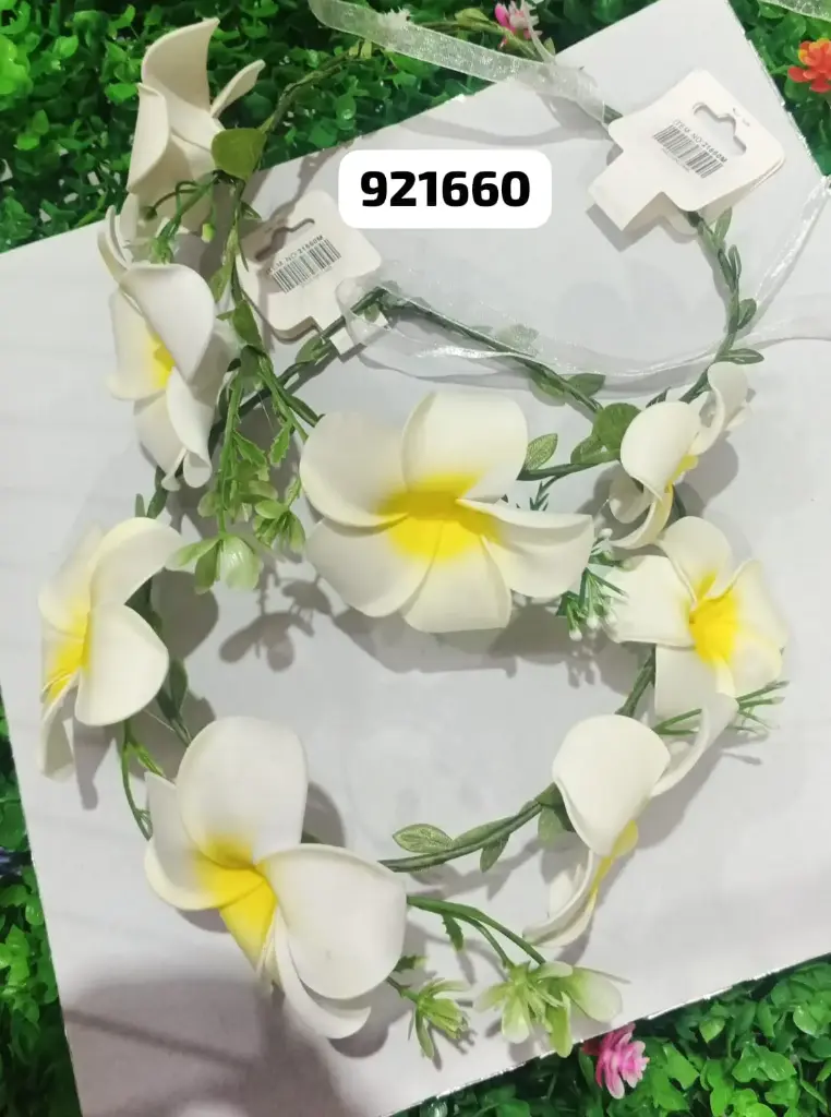 DIADEMA 21660M/2022120921660  