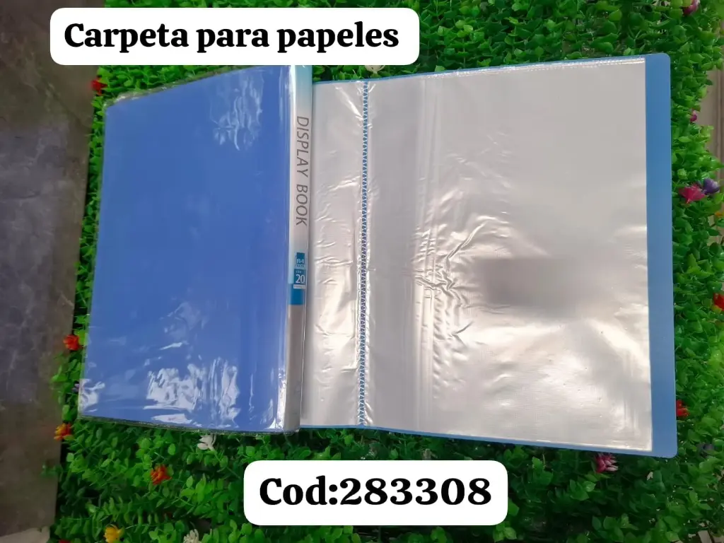 CARPETA PARA PAPELES | 6935753283308