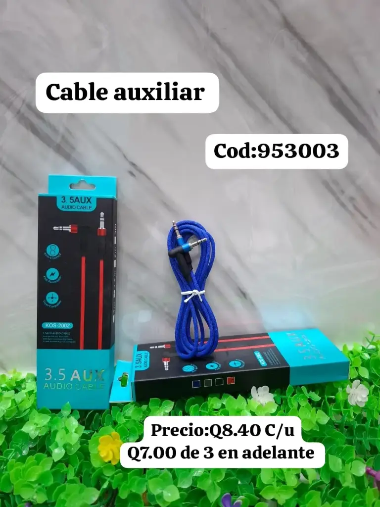 Cable Auxiliar 3.5| 8620022953003