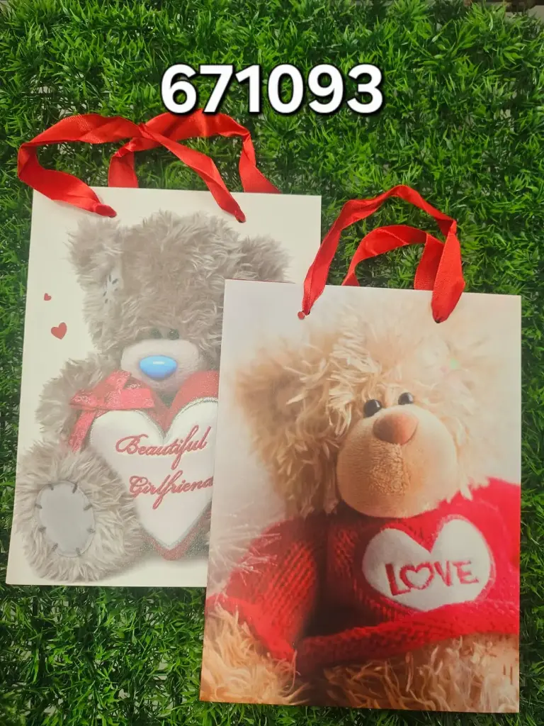 BOLSA DE REGALO 19.50*24.50*9.50/6973492671093  