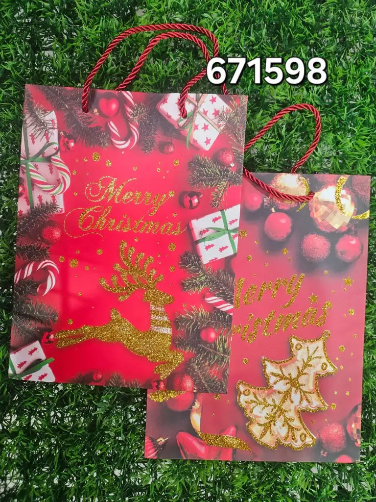 BOLSA DE REGALO/6973492671598  