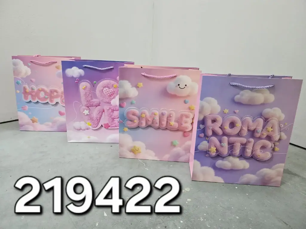BOLSA DE REGALO 26*32*10/6969459219422  