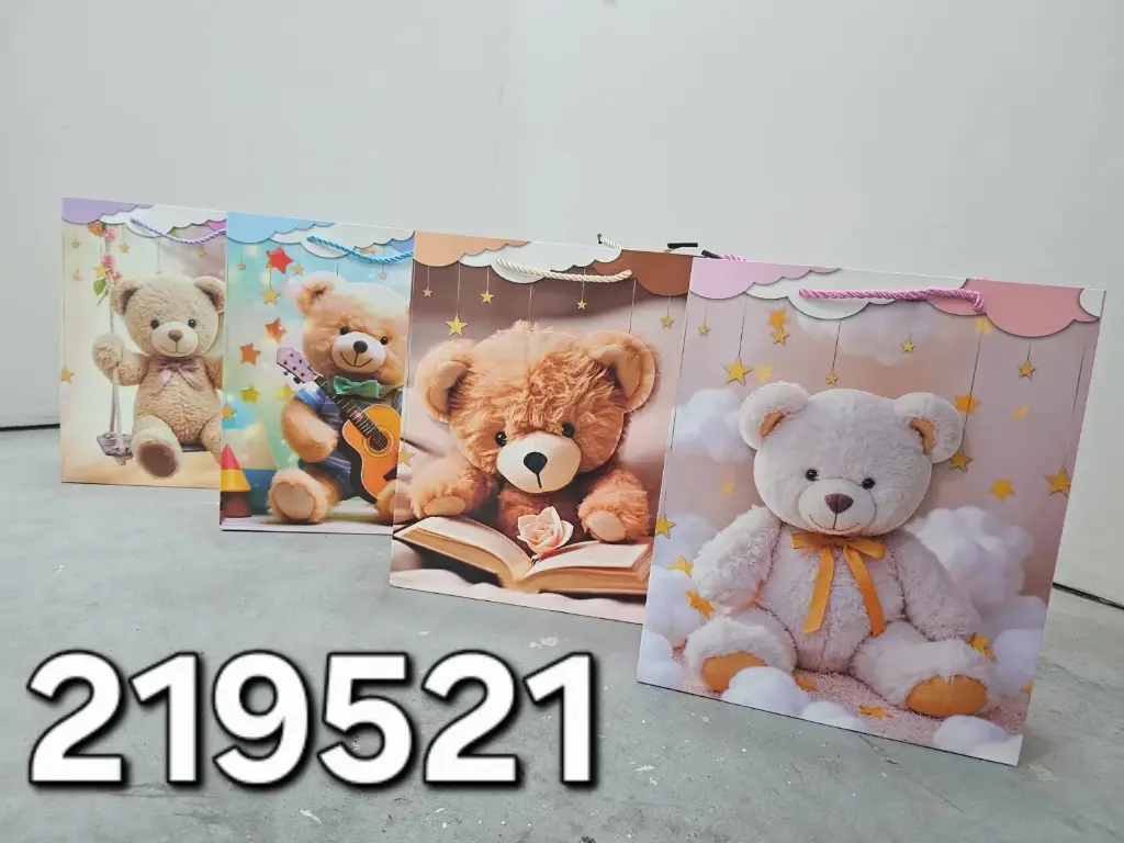 BOLSA DE REGALO 26*32*10/6969459219521  