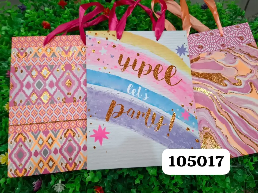 BOLSA DE REGALO 18*23*10|78777751050171