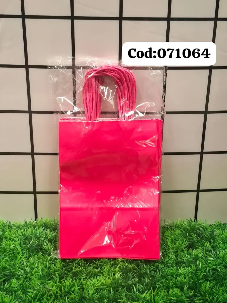 BOLSA DE REGALO 107106/7877771071064  