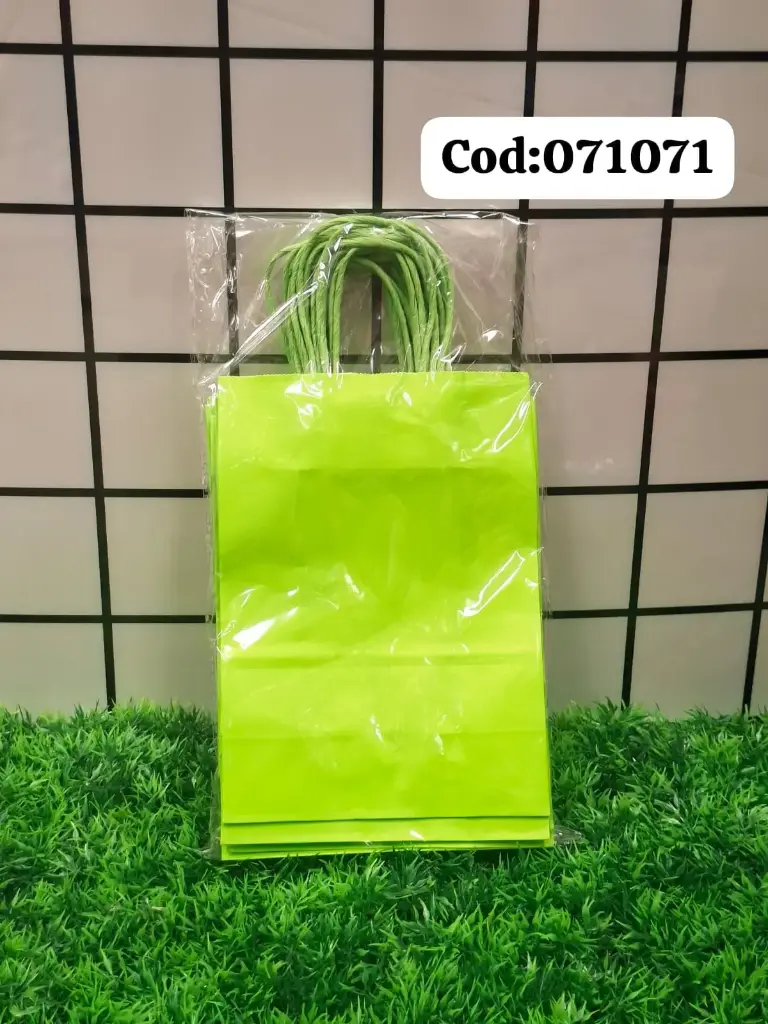BOLSA DE REGALO 107107/7877771071071  