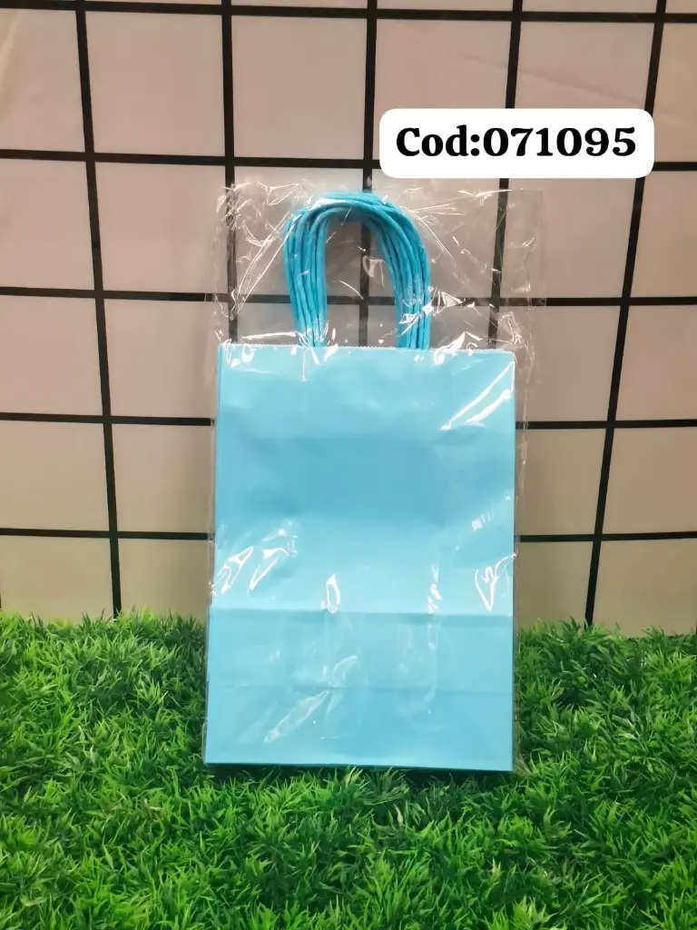 BOLSA DE REGALO 107109/7877771071095  