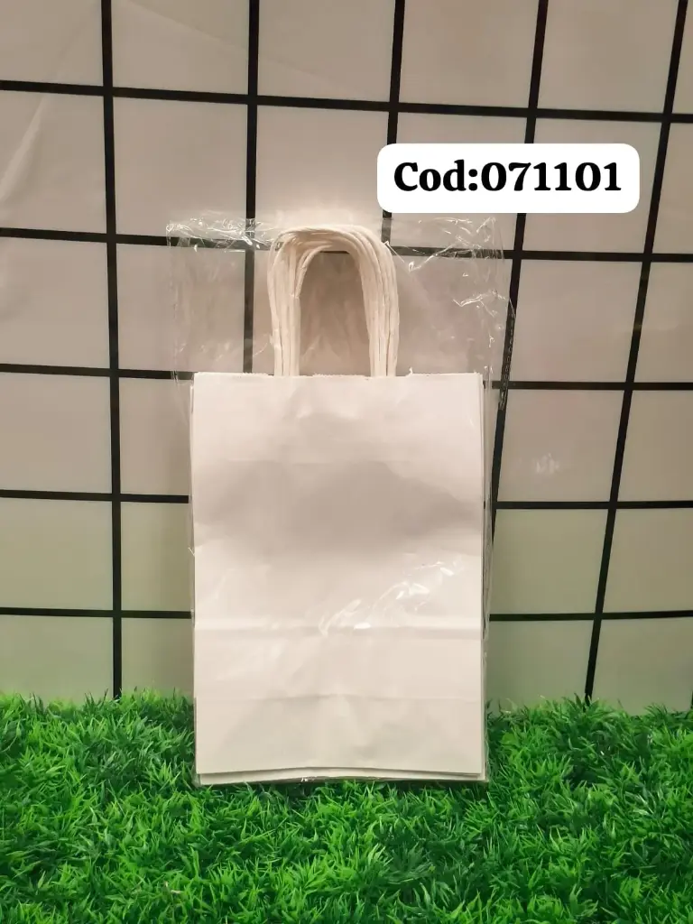 BOLSA DE REGALO 107110/7877771071101  