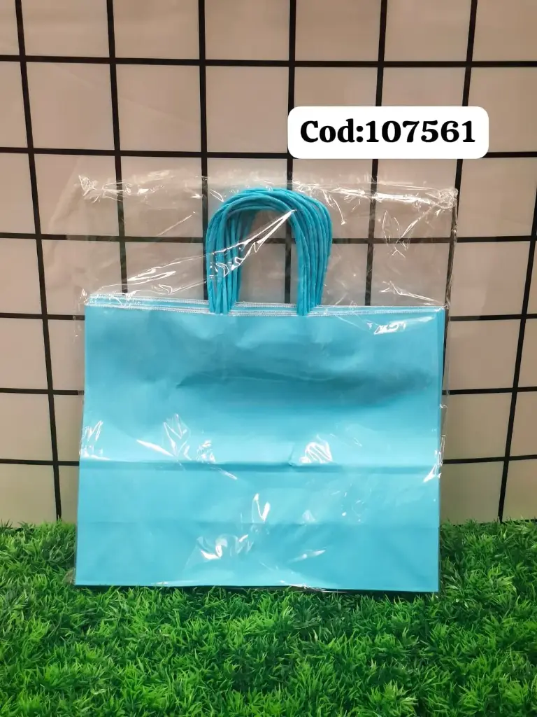 BOLSA DE REGALO 510756/7877775107561  