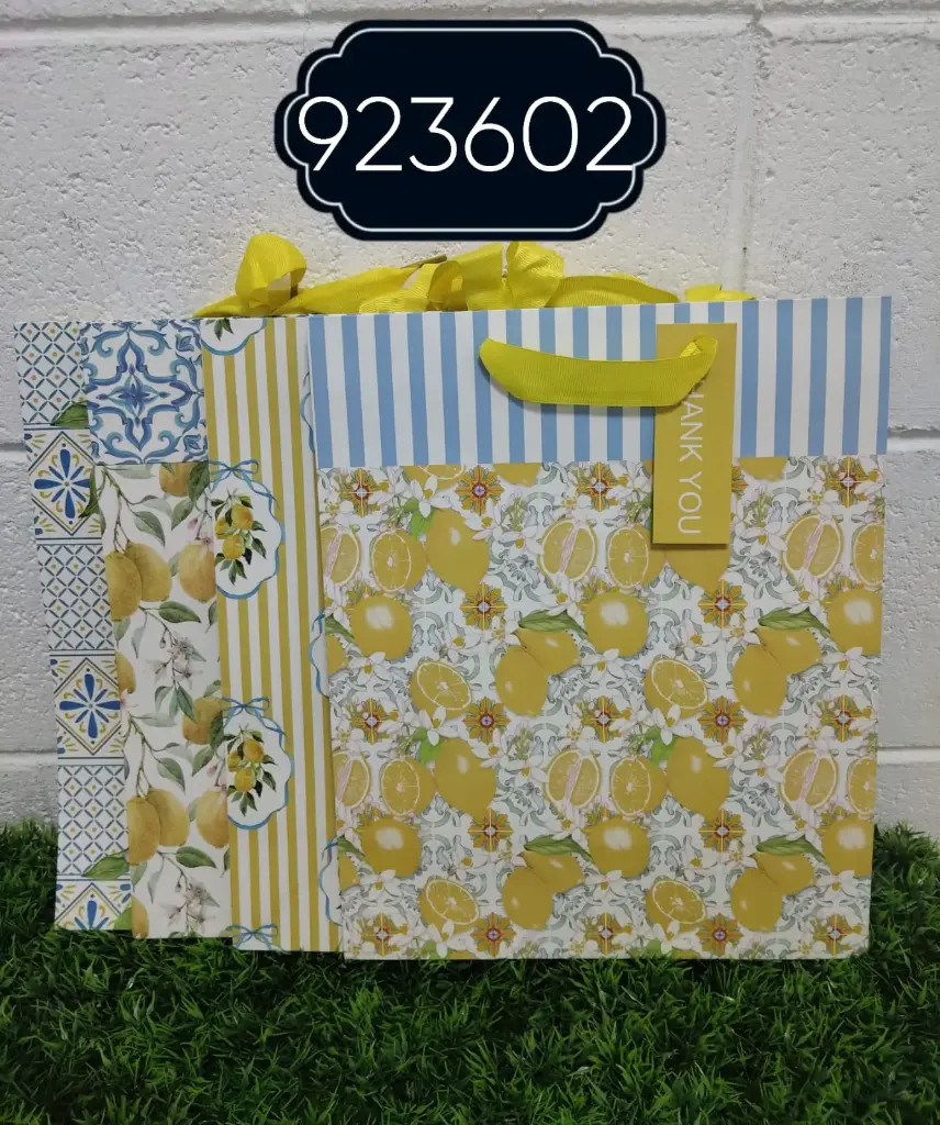 BOLSA DE REGALO 26*32*12.5/2022120923602  