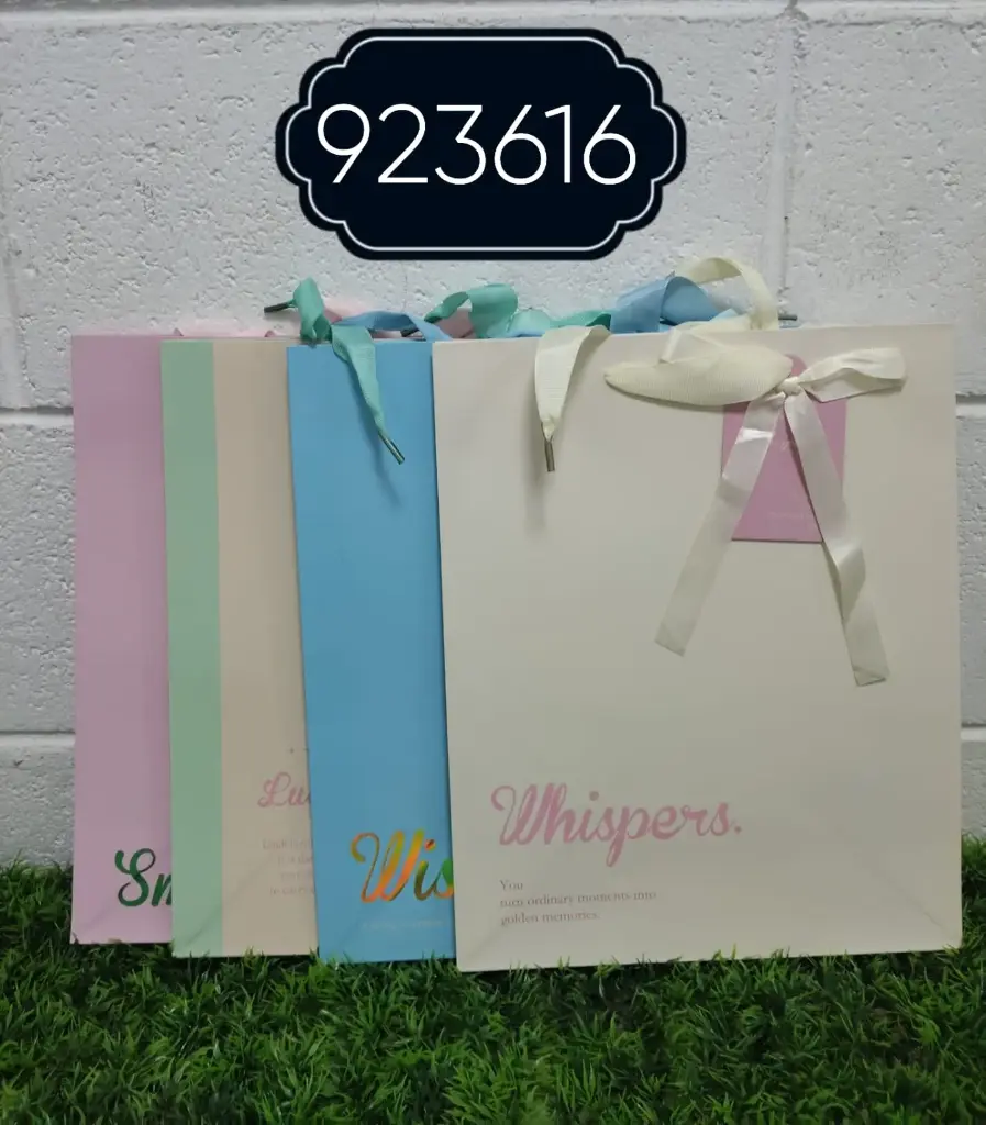 BOLSA DE REGALO 26*32*12.5/2022120923616  