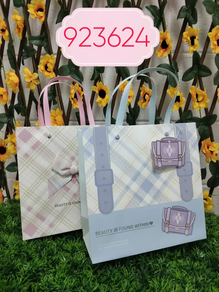 BOLSA DE REGALO 22*22*10/2022120923624  