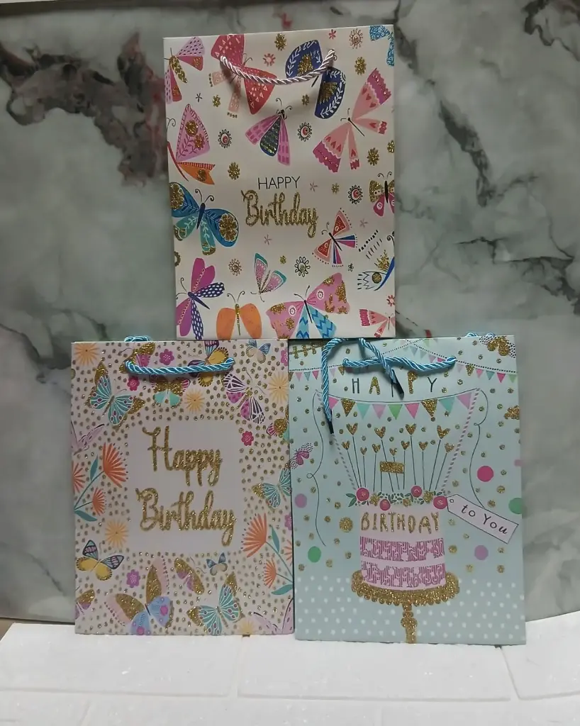 BOLSA DE REGALO 23*18*8.5/6920250913018  
