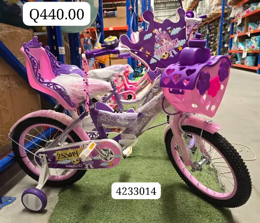 BICICLETA XX-4 16