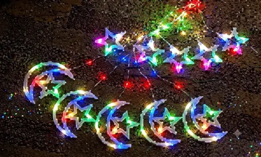 SERIE DE LUCES NAVIDEÑAS 1220224