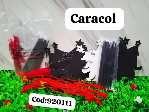 CARACOL 12PCS 2011|2023034920111