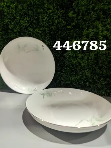 PLATO 8 6785