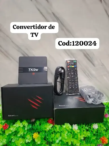 CONVERTIDOR DE TV 1018184120024