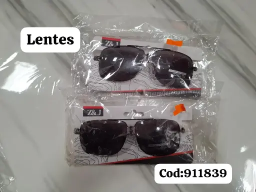 GAFAS 516127|2022120911839