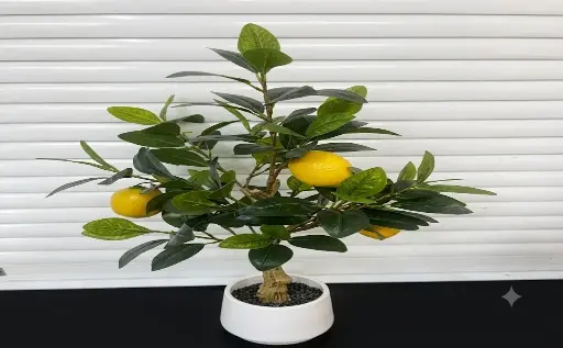 [21751M] PLANTA ARTIFICIAL 21751M  / 2022120921751