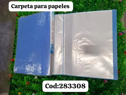 CARPETA PARA PAPELES | 6935753283308