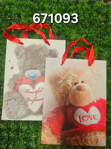 [23451M] BOLSA DE REGALO 19.50*24.50*9.50/6973492671093  