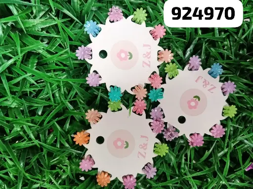 [GANCHOS] GANCHOS DE CABELLO 24970M/2022120924970