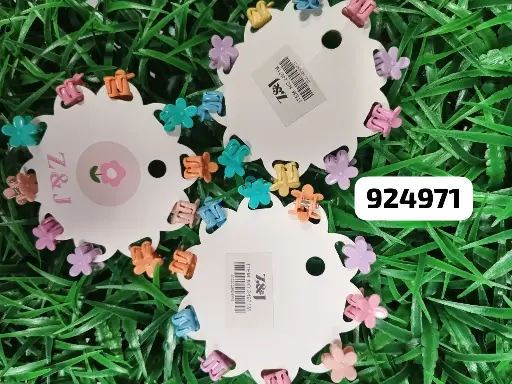 [GANCHOS] GANCHOS DE CABELLO 24971M/2022120924971