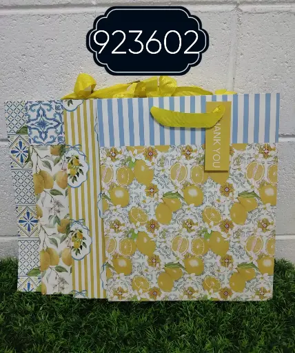 [23602M] BOLSA DE REGALO 26*32*12.5/2022120923602  